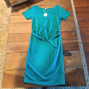 Green pinkblush maternity dress